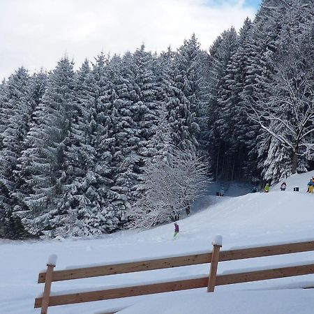 Penthouse Alpine Living Direkt An Der Skipiste By Schladmingurlaub 恩斯塔尔豪斯 外观 照片