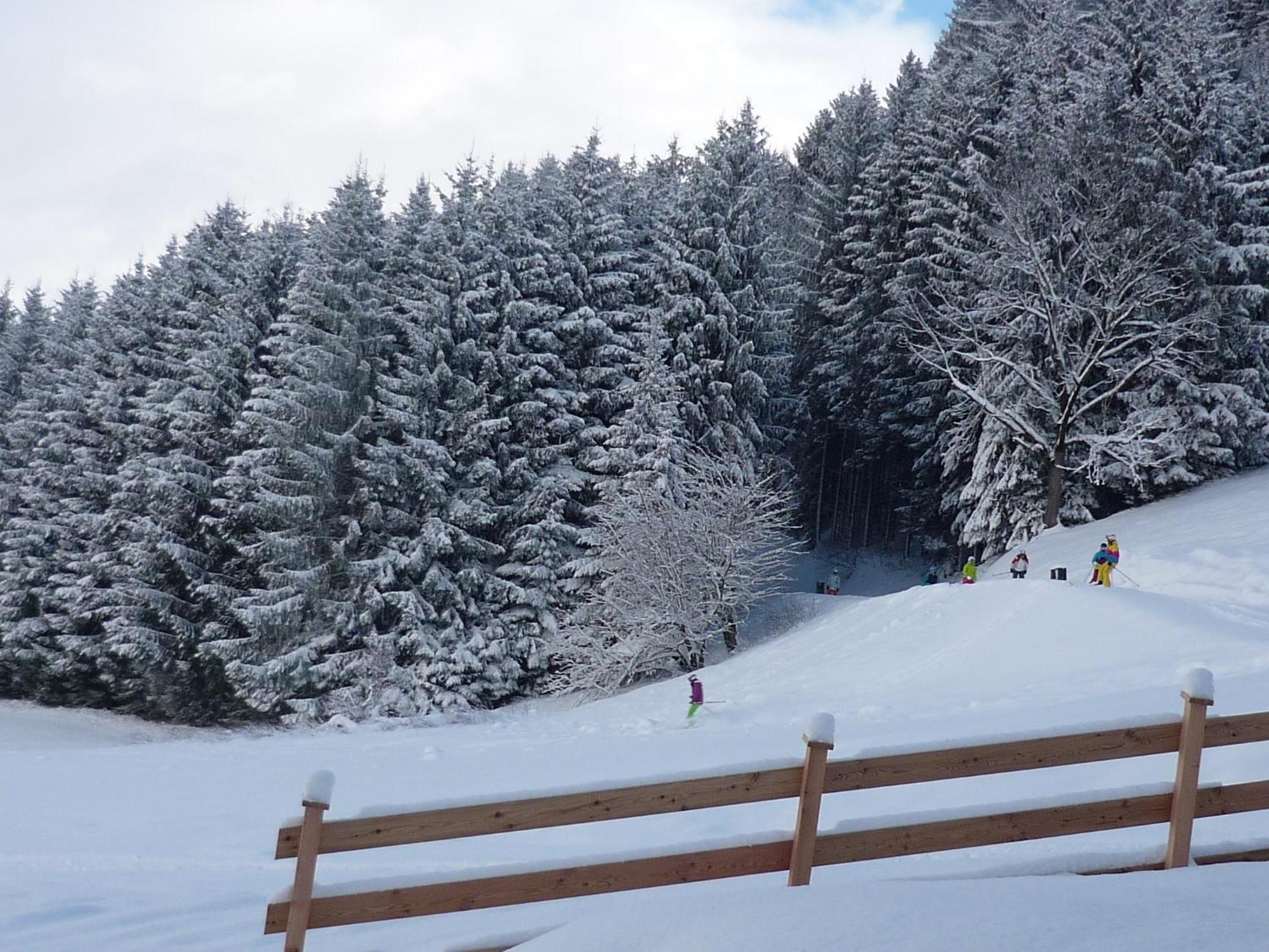 Penthouse Alpine Living Direkt An Der Skipiste By Schladmingurlaub 恩斯塔尔豪斯 外观 照片